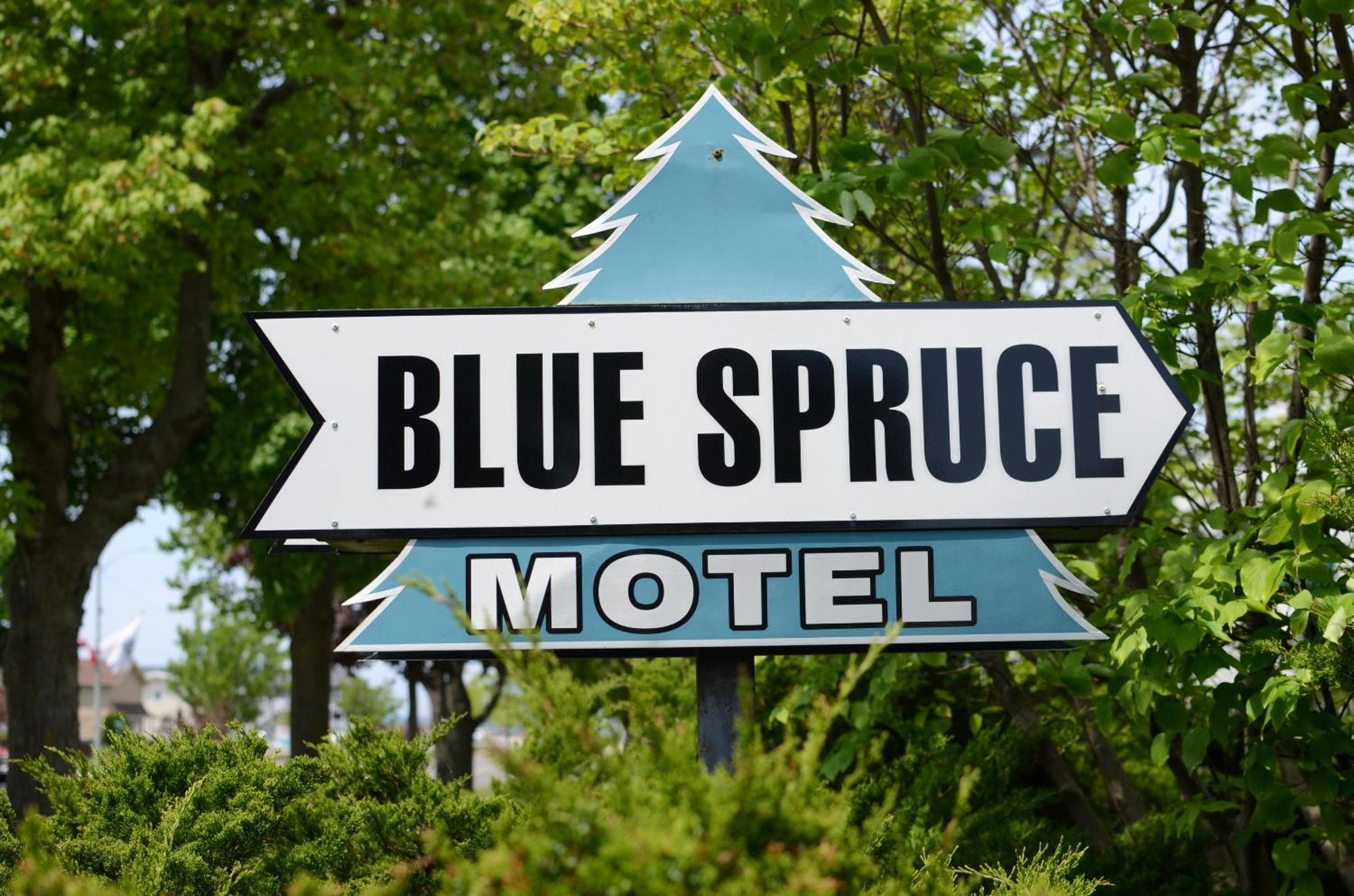 Blue Spruce 2*